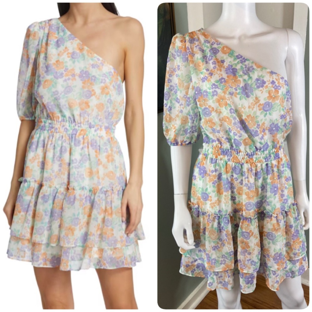 Wayf One-Shoulder Tiered Ruffle Pastel Floral Mini Dress Sheer Medium M